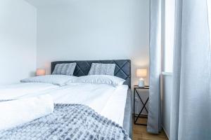Modern & Stylish 1BR, 1LR Apartment at Vienna Center