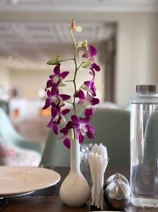 Masaka Suites A Unit of Arbat Hospitality LLP