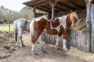 Les Chouchous du Garthieu