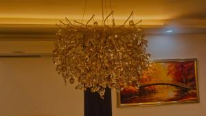 Adorable stay - Haridwar