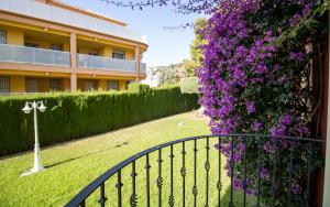 Bajo con terraza junto a la piscina - Madeira ALBERT VILLAS