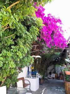 Iliada Skiathos rooms