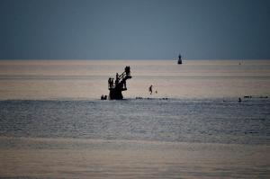 Appartements Appartement Saint Malo-Rocabey : photos des chambres