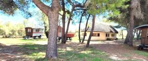 cabane de gardian