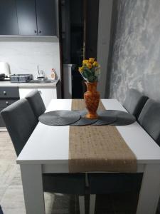 Apartman SANI