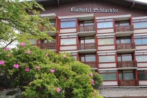 Apartment Eisenhauer in Schluchsee