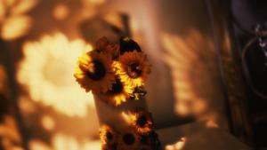 Sunflower Place - dimora del girasole