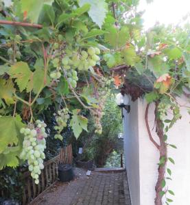 Ferienwohnung Weinstrasse 4 Gäste