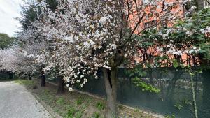 Tamburini 38 Vintage Apartment Near City Center, Parking Included