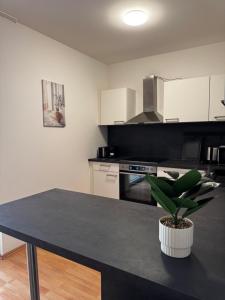 Linz Wasserwald cozy Apartment with 2BR