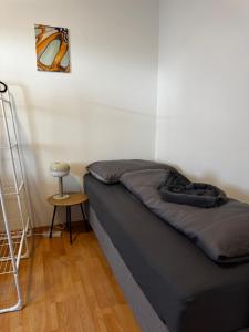Linz Wasserwald cozy Apartment with 2BR
