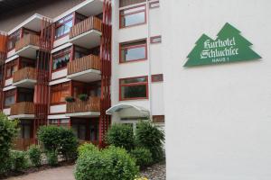 Apartment Eisenhauer in Schluchsee