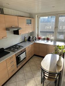 Brynów Point Studio - Free parking & 55"smart TV