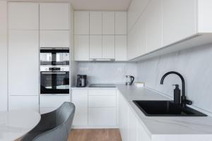 Elegant Karlín Apartment with Terrace & Parking