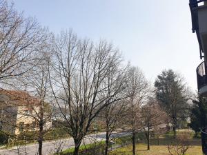 New N-House by Anthea Homes