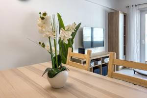 Apartamento Bela Vida