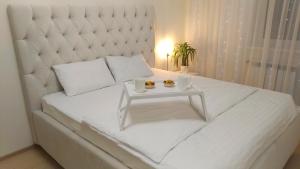 Двокімнатна квартира, встановлена зарядна станція ЕкоФло EcoFlow