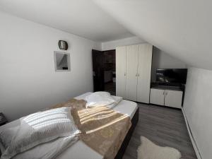 Apartament Ral