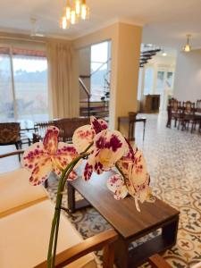 Villa Serenity - Pool - Breakfast - 2 Min to Beach