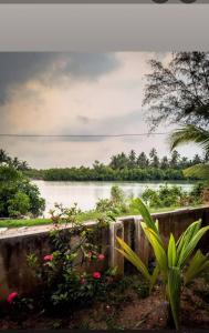 Sima Homestay