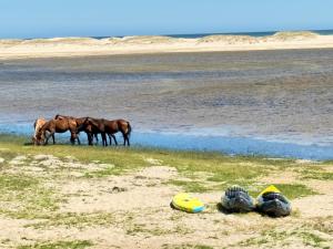 MBIZI lagoon house - Wild Horses & Ocean Views