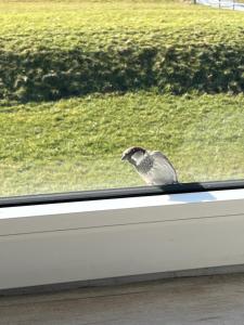 HaRe Ferienwohnungen