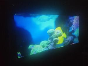 BNB Retreat Broadstairs Kent