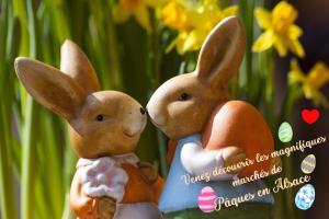 Sienna - Calme et bien-être au coeur de Mulhouse