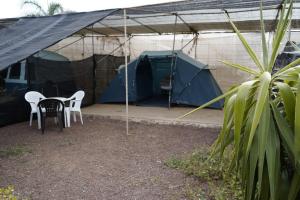 Agrocamping Invernaderito