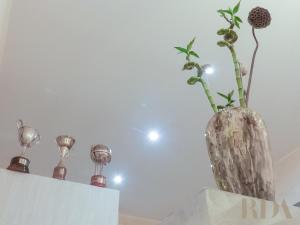 Sanremo inn RDA Luxury Rooms via Matteotti