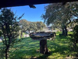 Il Lentischio DOMO MEA img81