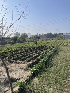 Private Luxury Farmstay - Pool, Party Hall & Lawns