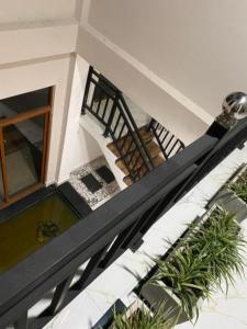 Travora Trails