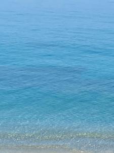 Gines Tropea Home