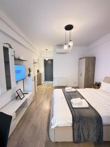 Palas Mall Studios - Urban Collection Iasi