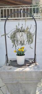 Villa Mare - Island Krk, traditional Stone house with pool