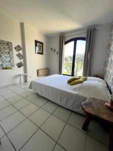 Spacious villa, pool and large garden