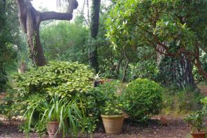 Villa Ananda - Dépendance Kermessu