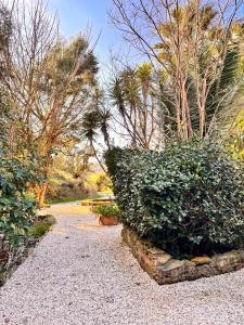 A private oasis in the Alentejo