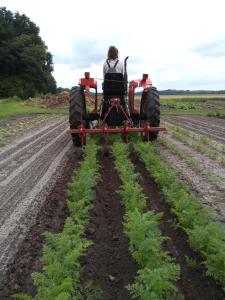 Landhuis Hotel Restaurant Rikus