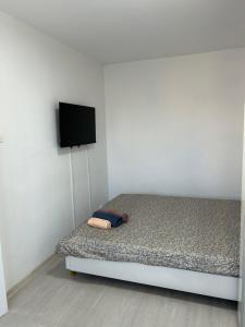 Edy apartament