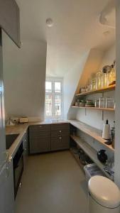 Vesterbro stunning apartment