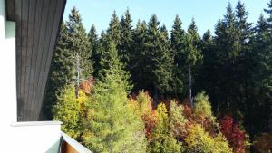 Cihlářka - Apartmán 309