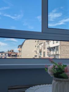 Modern 2-room Oasis in Old-town Belgrade