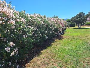 villa maestrale img25