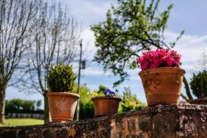 The Granary at Little Howle Farm