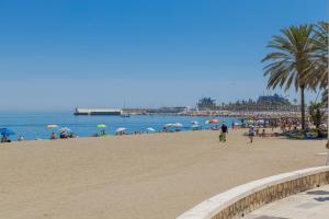 C18 Lovely apartment in Malagueta Beach