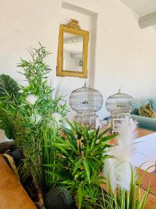 Peace of Provence - Rooftop Village Life