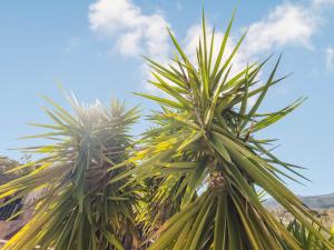 Hammer's Villa img98