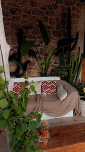 Appartement finca avec terrasse avec spa en option